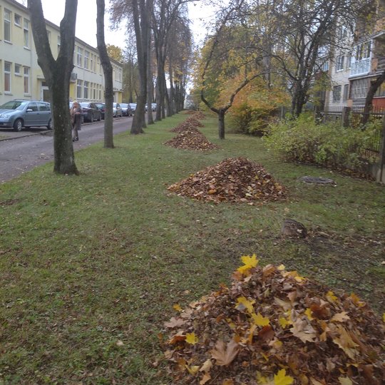 Iliustracija