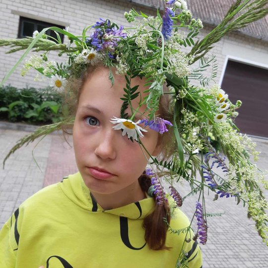 Iliustracija